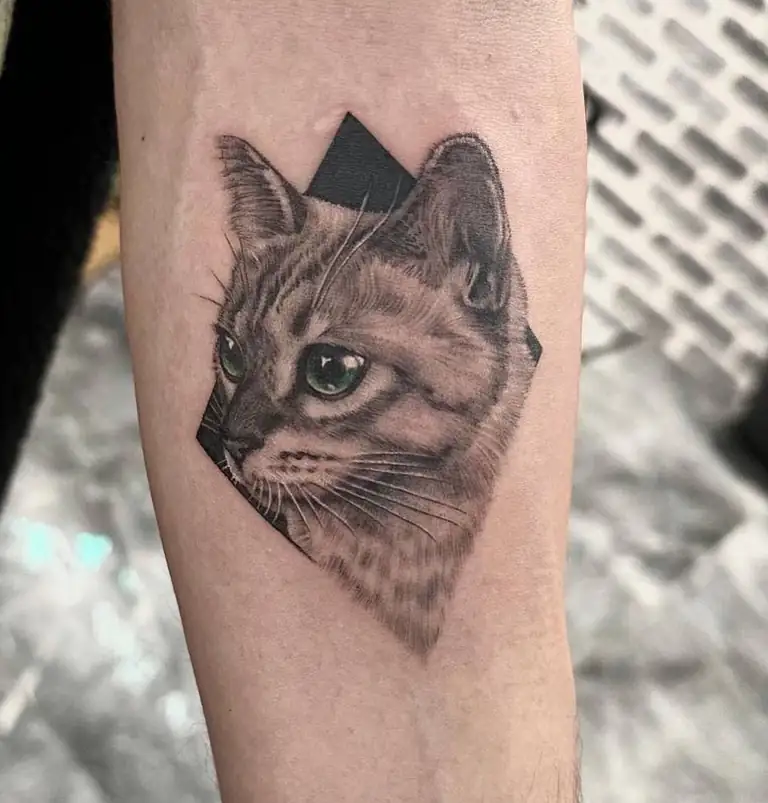 Realistic cat geometric tattoo at Eleven Tattoo Gallery Istanbul.